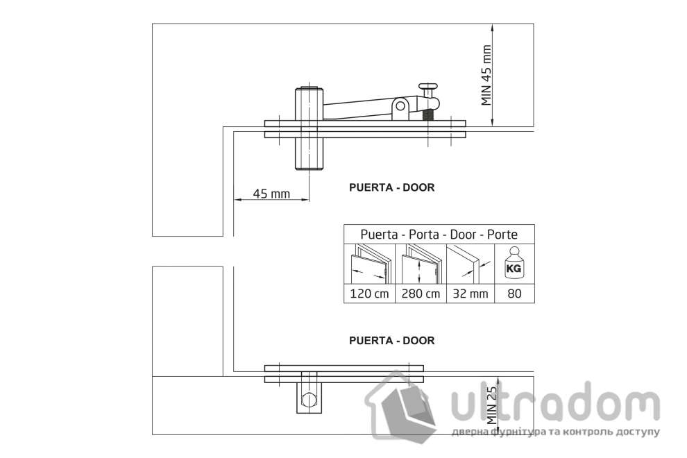 Скрытая вращающаяся петля Amig PIVOT 01 до 80 кг, нержавеющая сталь (23228)