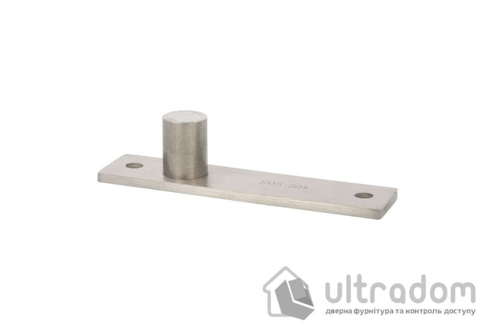 Скрытая вращающаяся петля Amig PIVOT 01 до 80 кг, нержавеющая сталь (23228)