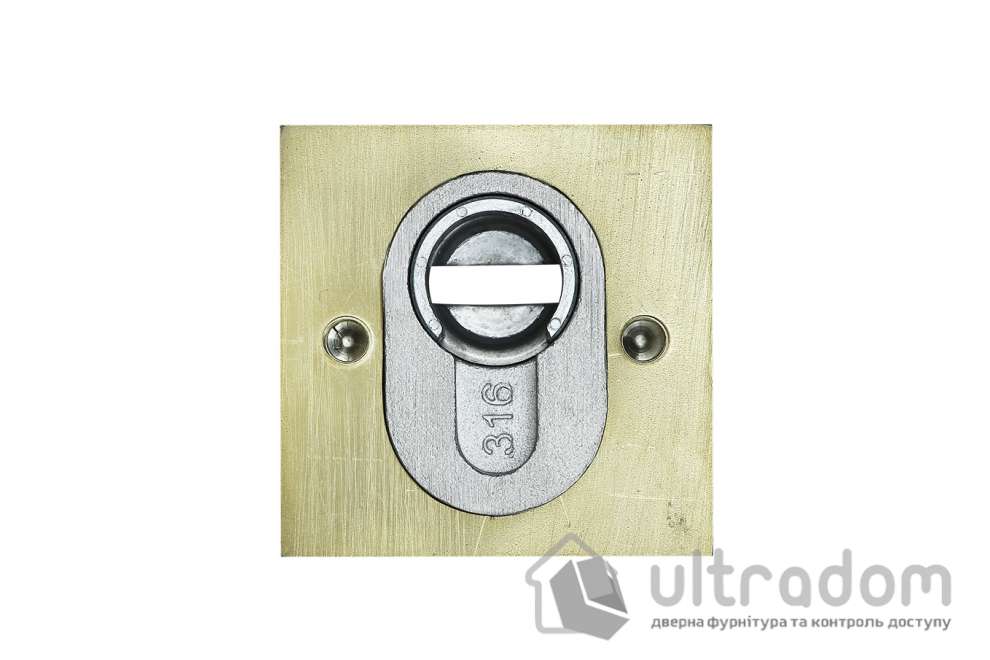 Протектор защитный DISEC GUARD QUADRA NX2F внешний, латунь PVD