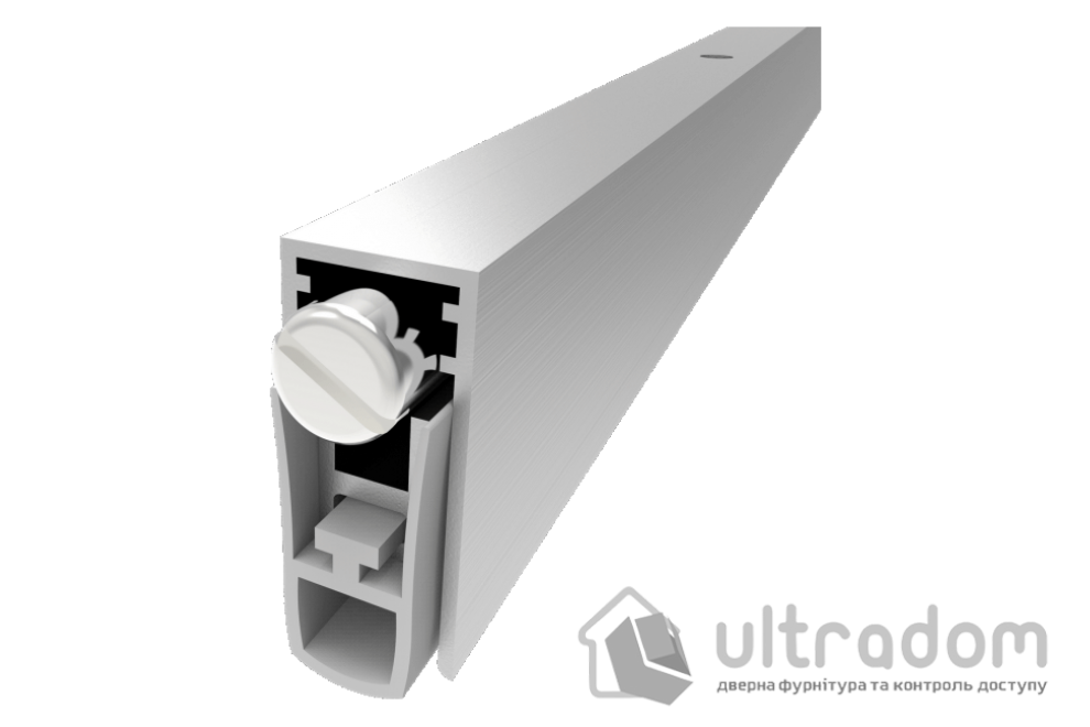 Автоматический врезной порог SIPAM MOD 103SF, 1000мм, 100-80см (DS-103SF30RTN1000)