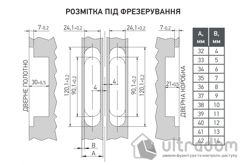 AXOR Скрытая петля для межкомнатных дверей 24х120 (матовое золото)