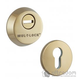 Броненакладка для цилиндра Mul-T-Lock SL3, латунь полированная