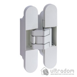 Прихована завіса AXOR для міжкімнатних дверей 24х120 мм біла з ковпачками (D5004-00-N01)