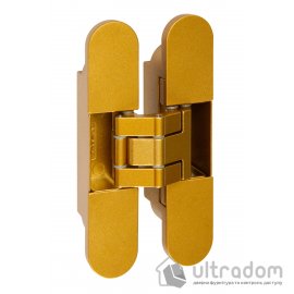 AXOR Прихована петля для міжкімнатних дверей 24х120 (матове золото)