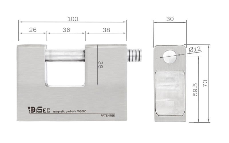 Disec magnetic